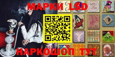 дмт Будённовск