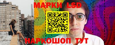 дмт Будённовск