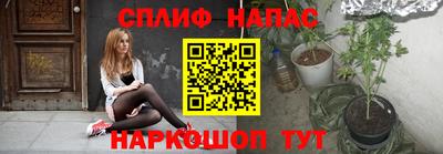 дмт Будённовск