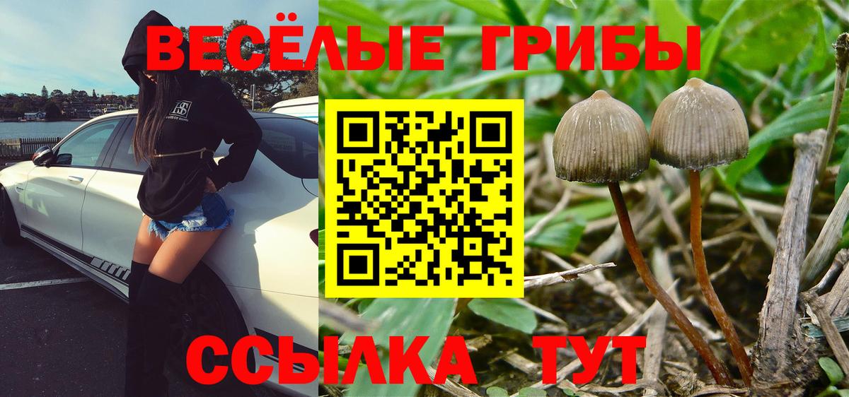 Серпухов  Галлюциногенные грибы мицелий  Вход с VPN 