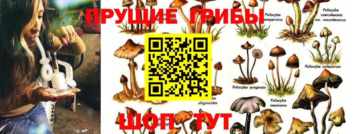 Галлюциногенные грибы MAGIC MUSHROOMS Серпухов